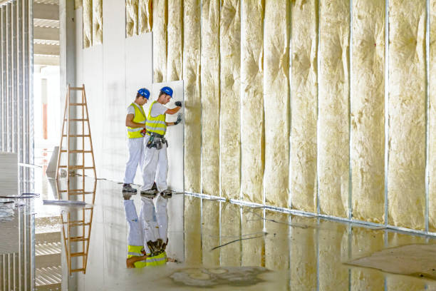 Best Energy-efficient Insulation  in Manchester, MD